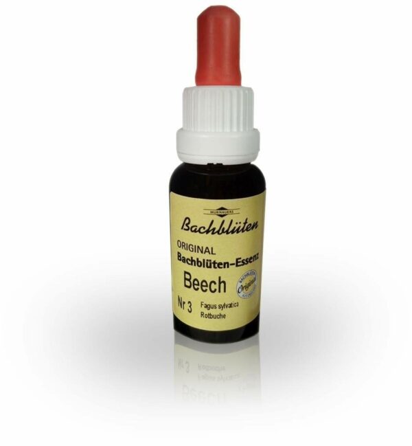 Bachblüten Murnauer Beech 20 ml Tropfen