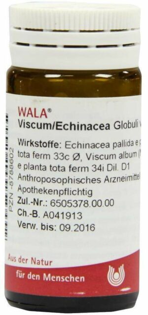 Wala Viscum Echinacea 20 g Globuli