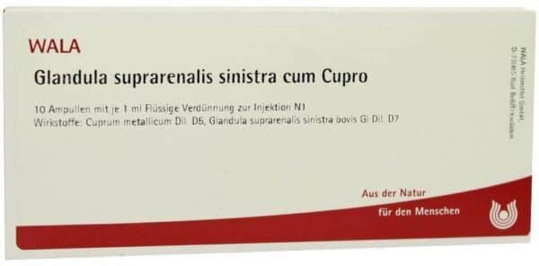 Wala Glandula suprarenalis sinistra cum Cupro 10 x 1 ml Ampullen