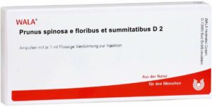 Wala Prunus spinosa e floribus et summitatibus D2 10 x 1 ml Ampullen